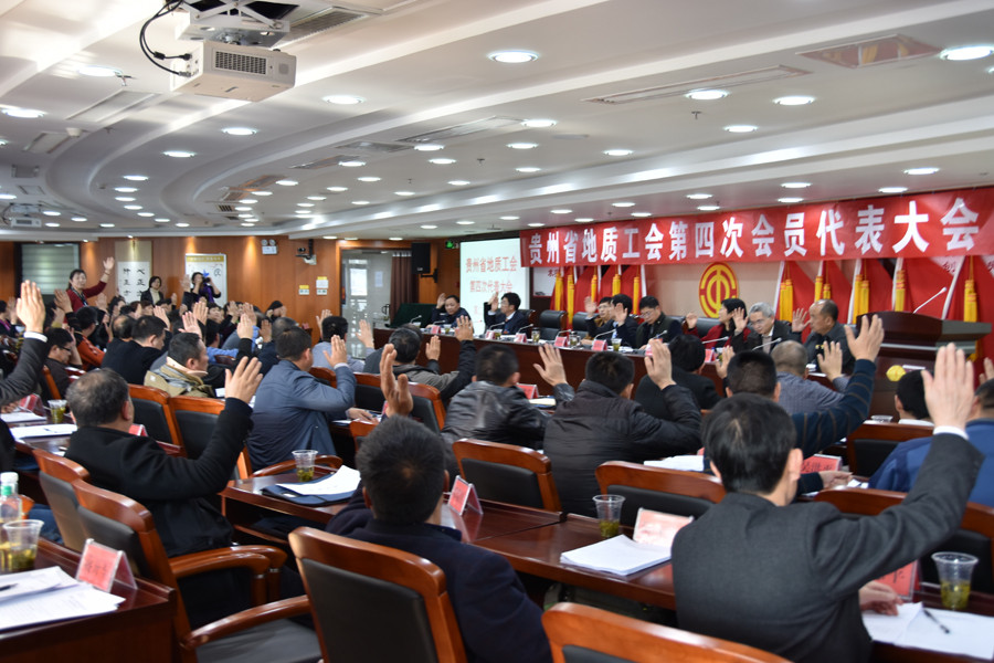 举手表决.JPG
