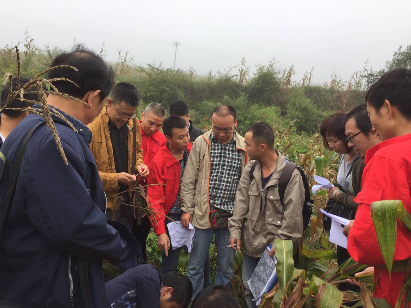 六枝耕调学习1.jpg