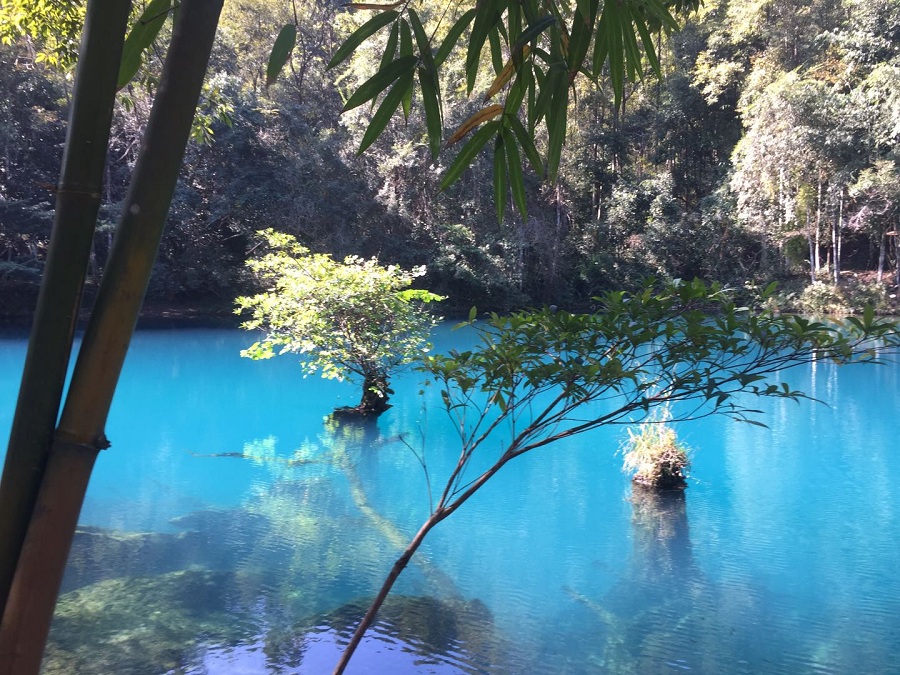 3.【摄影作品】蓝色的幽静 ——108队鲜丹敏.jpg