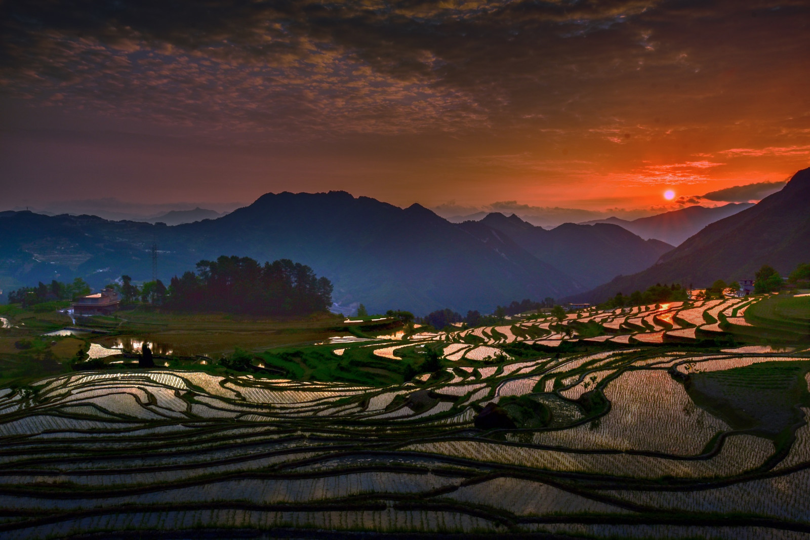夕阳沉——郑海林