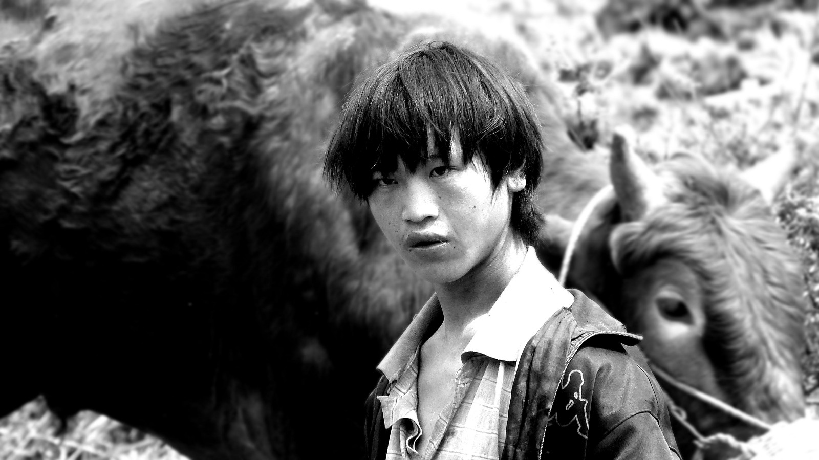 乡村孩子 赵明磊 摄.jpg