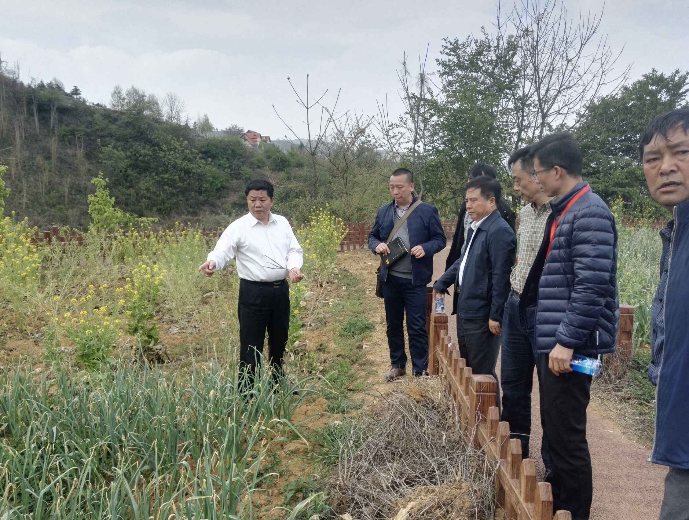 QQ图片20180413220003 QQ图片20180413220003