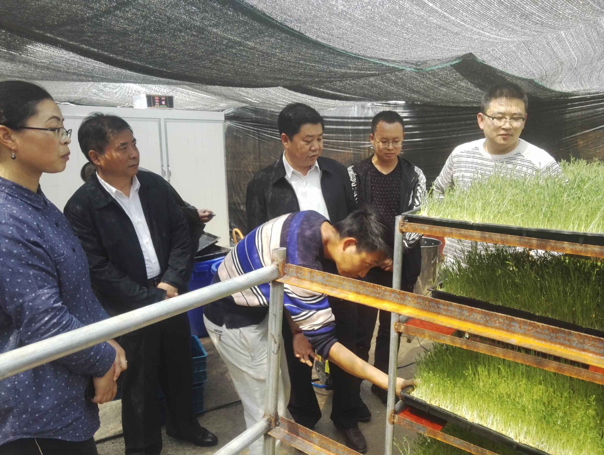 QQ图片20180413220026 QQ图片20180413220026