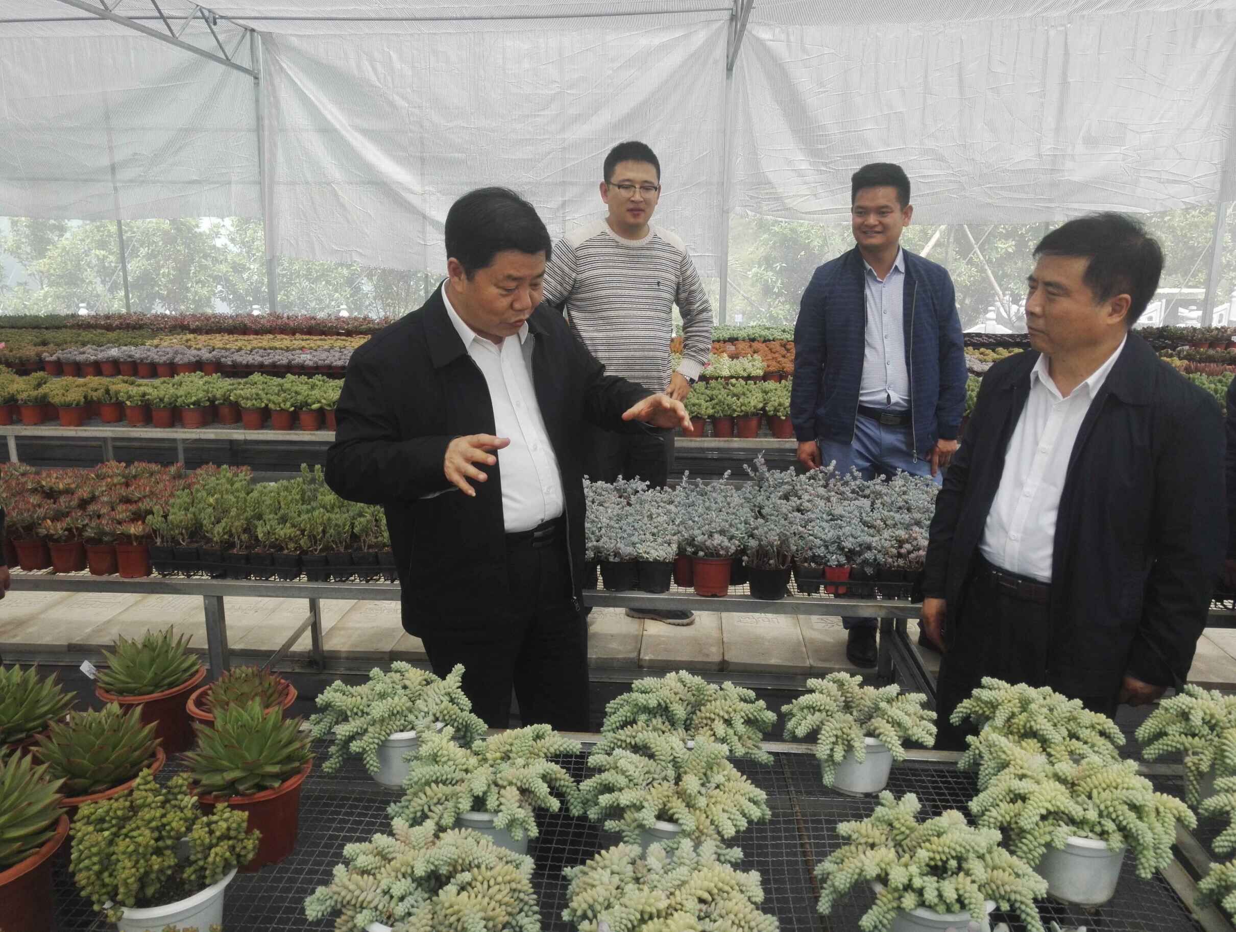 QQ图片20180413220038 QQ图片20180413220038