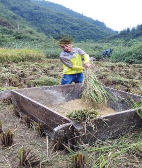 秋收图片.jpg 秋收图片.jpg