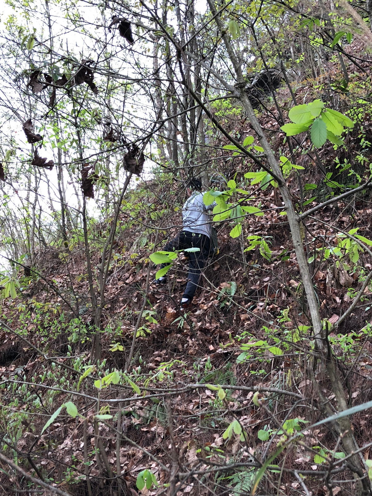 为取得精准数据,地质队员们不畏辛苦,翻山越岭 为取得精准数据,地质队员们不畏辛苦,翻山越岭