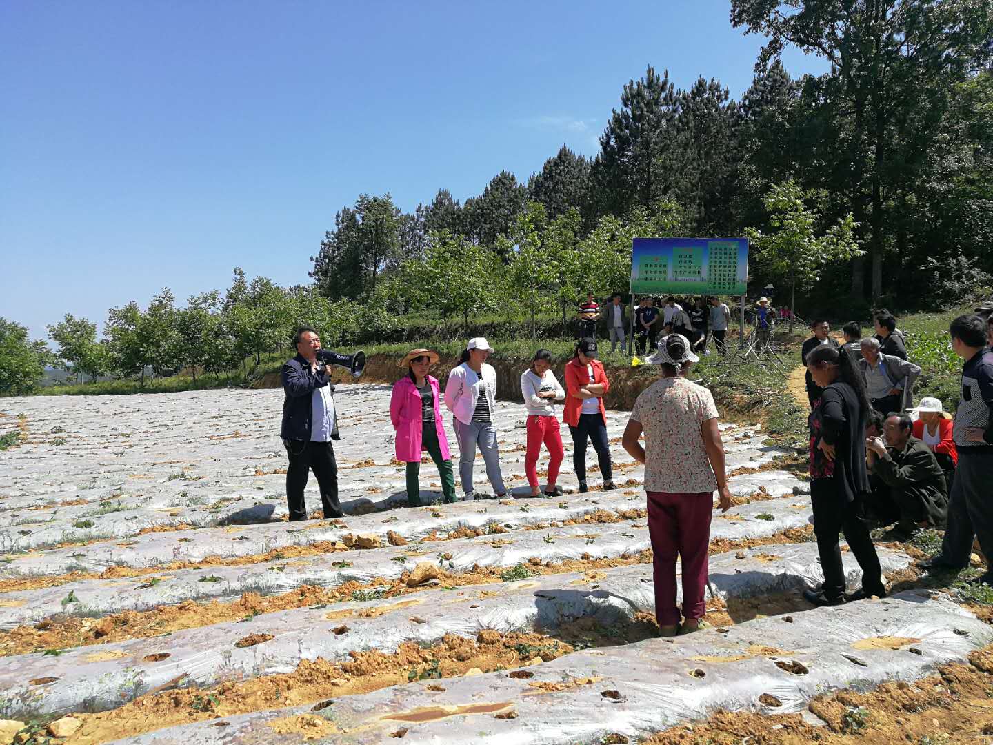 114地质队捐赠了10吨化肥 114地质队捐赠了10吨化肥