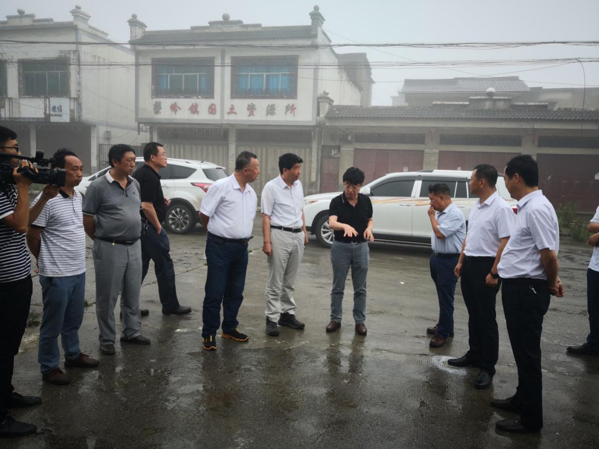 自然资源部调研组在纳雍县鬃岭镇检查指导