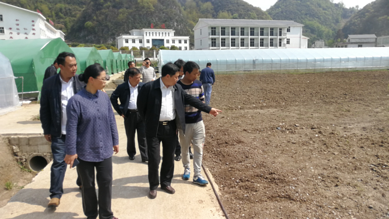 付局长现场调研2.jpg