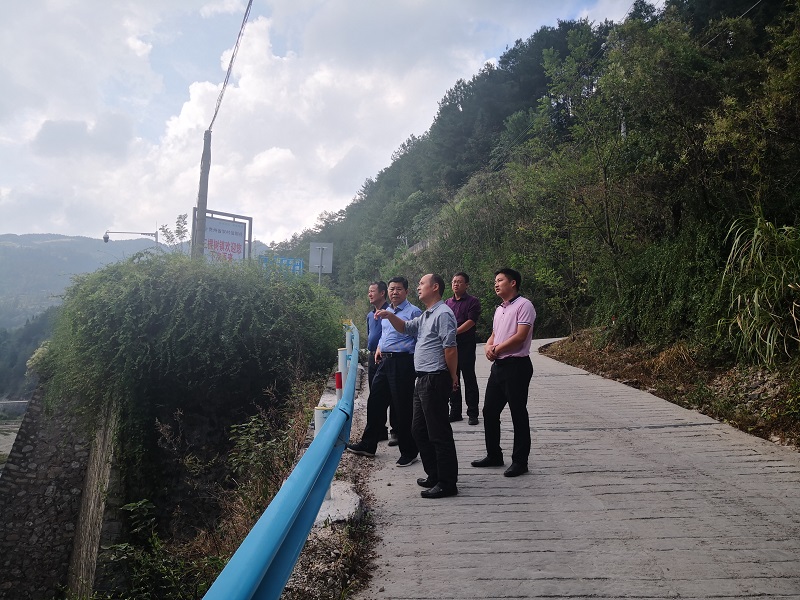 付贵林局长到凯里市三棵树镇季刀苗寨地灾治理项目调研指导工作